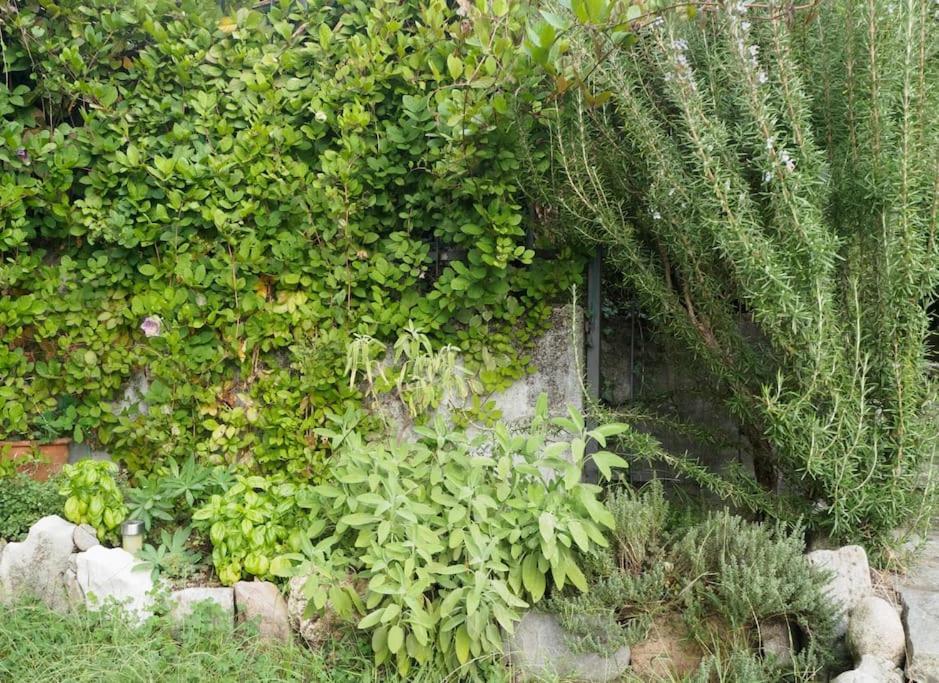 La Tua Villa Sul Lago - Casa Kollegger Луино Екстериор снимка